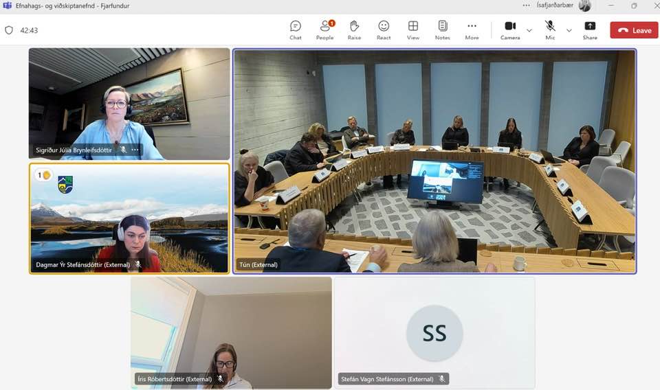 Skjáskot af fjarfundi.
