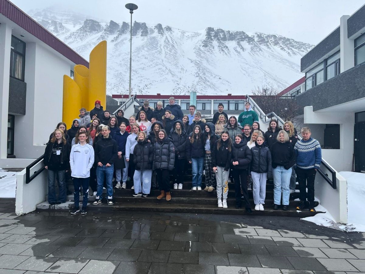 Hópmynd af þátttakendum á ungmennaþingi. Um 50 ungmenni standa í tröppum fyrir utan Menntaskólann á Ísafirði