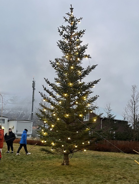 Jólatréð á Flateyri eftir tendrun.