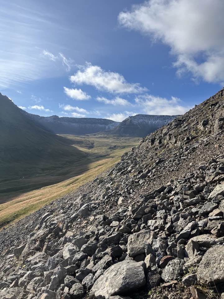 Mynd tekin úr urð í fjallshlíð, horft inn Hjarðardal.