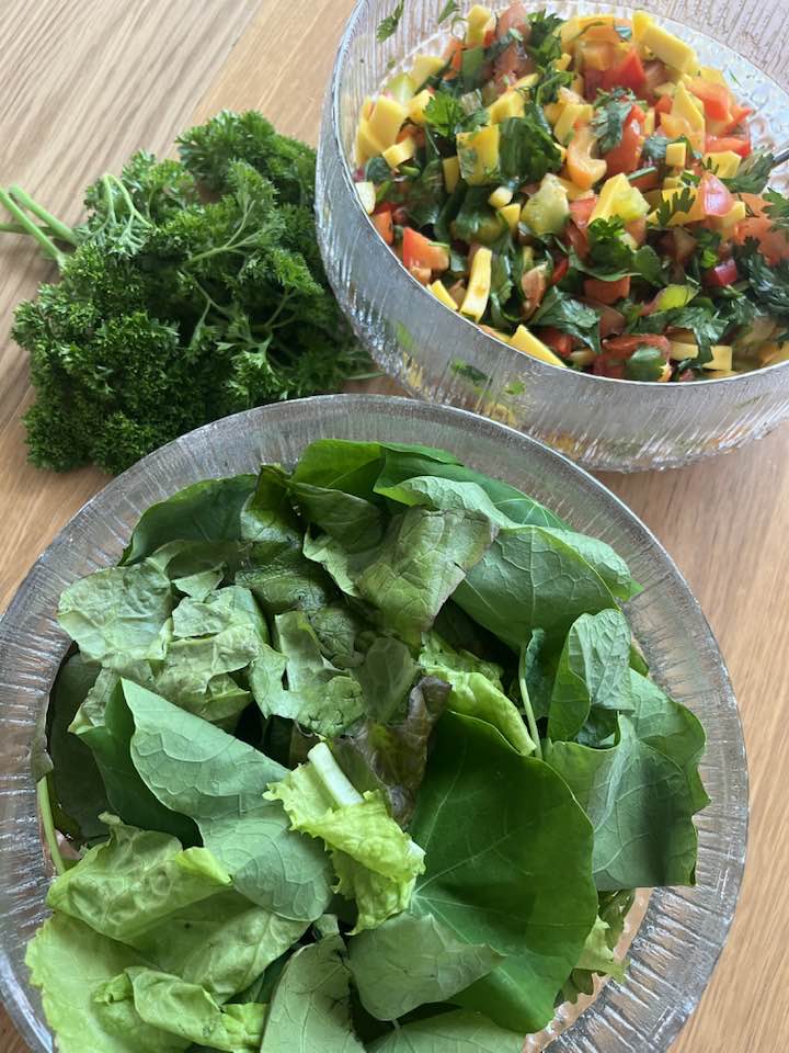 Nýtt grænmeti í skálum. Kál, steinselja og paprikusalat.