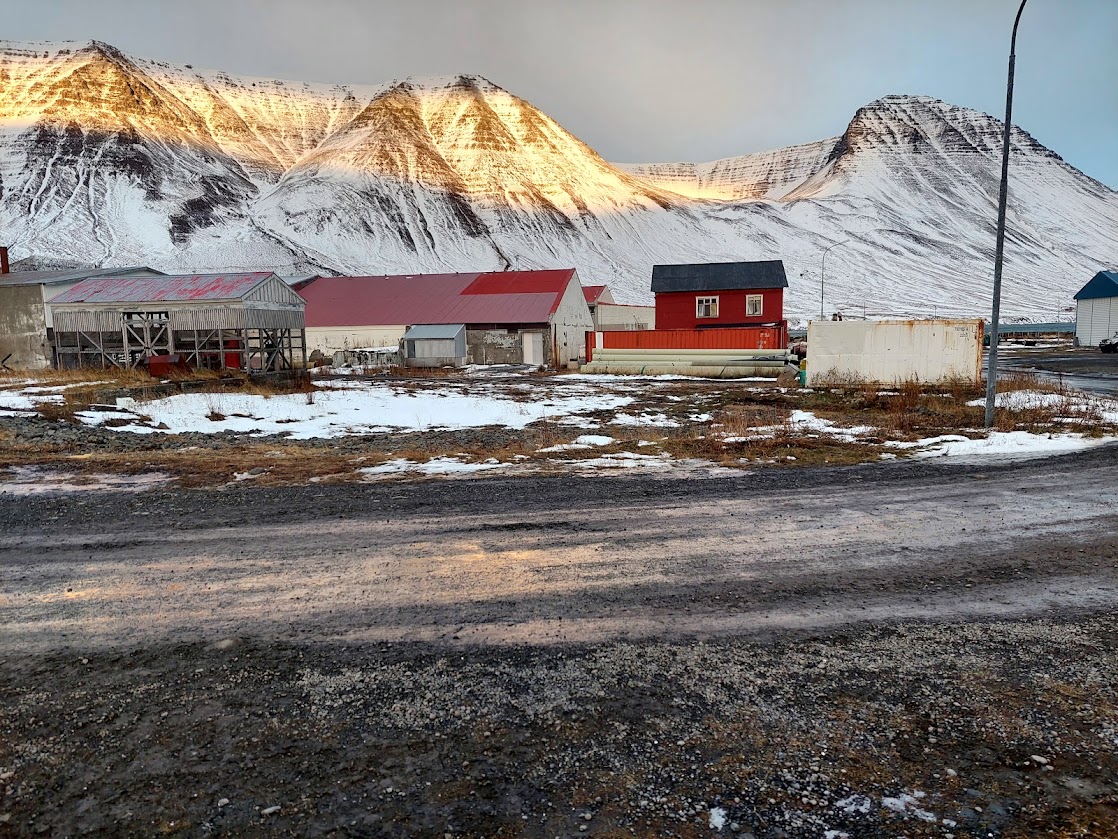 Mynd af Flateyrarodda að vetri. Hjallur, vinnsluhús, íbúðarhús og gámur. Vegur og autt svæði í forgrunni.