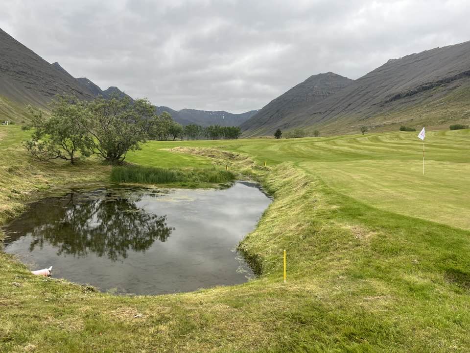 Meðaldalsvöllur í Dýrafirði