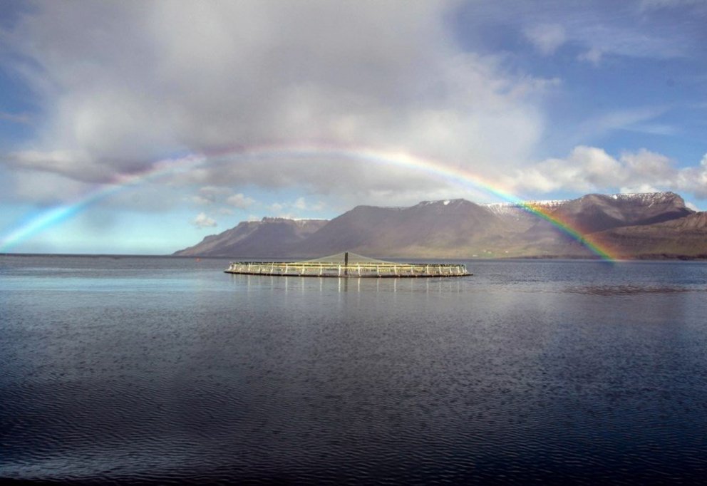 Mynd: Umhverfisstofnun