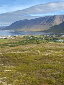 Mynd: M11 arkitektar