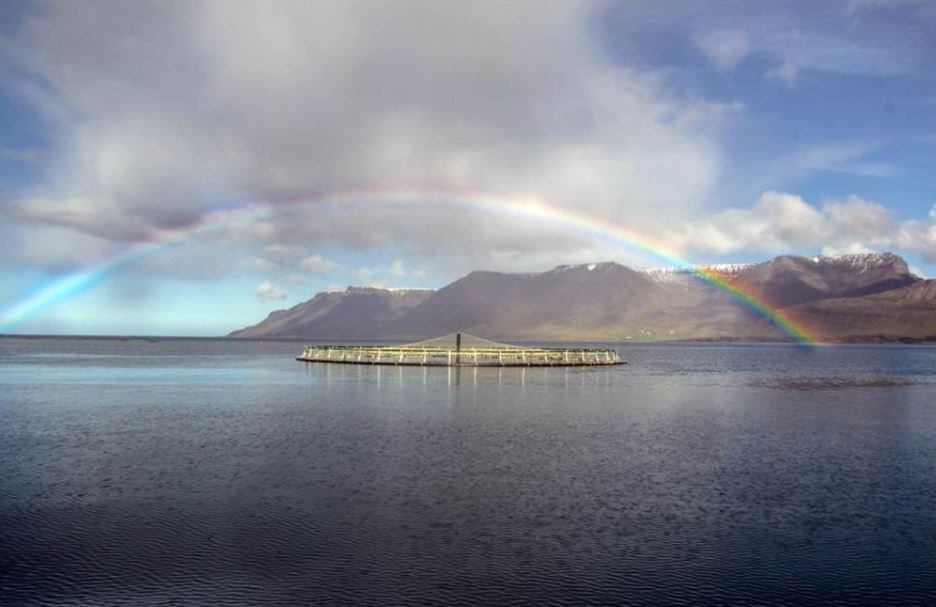 Mynd: Umhverfisstofnun