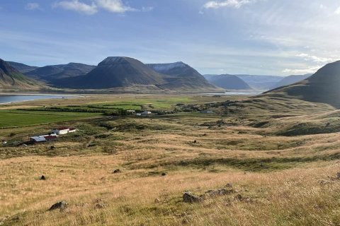 Smalað í Hjarðardal í Önundarfirði.