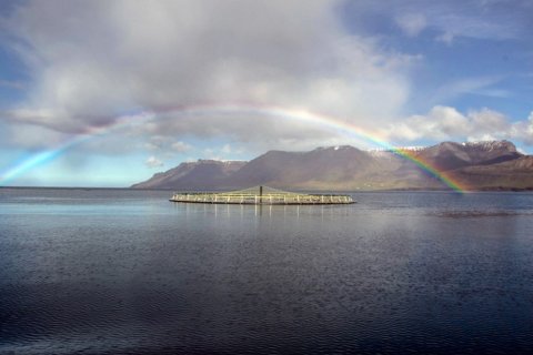 Mynd: Umhverfisstofnun