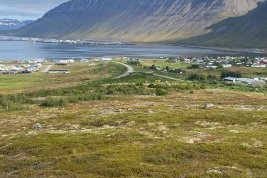 Mynd: M11 arkitektar