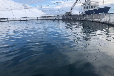 Mynd: Umhverfisstofnun.