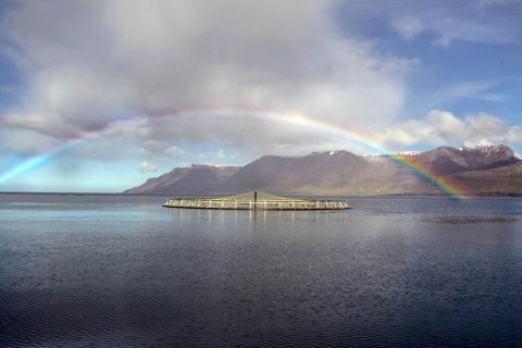 Mynd: Umhverfisstofnun