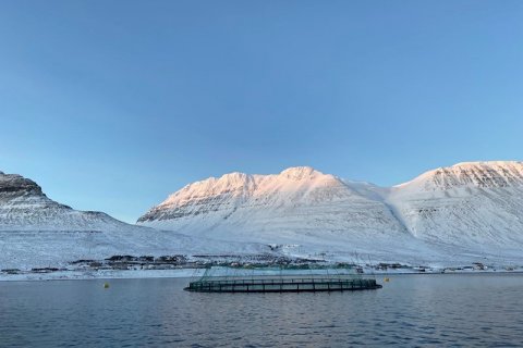 Mynd: Umhverfisstofnun